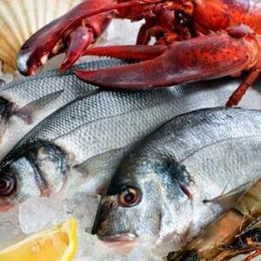 Meeresfrüchte für die mediterrane Ernährung